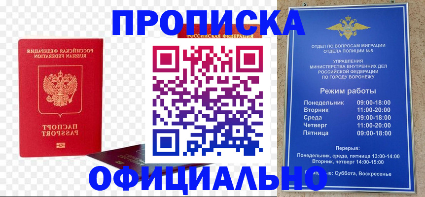 прописка иностранных граждан в Щёкино